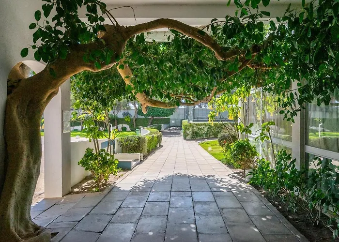 Rocha Sunset Apartmán *